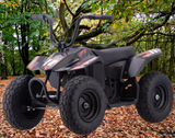 250w Kids Ride On Electric Mini Quad Bike