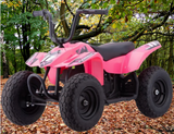 250w Kids Ride On Electric Mini Quad Bike